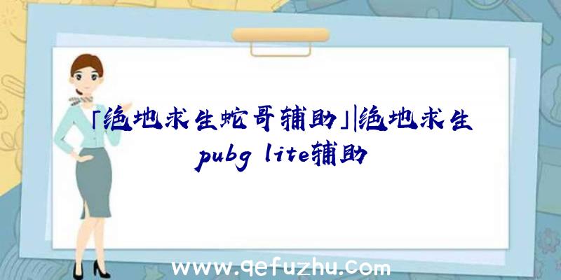 「绝地求生蛇哥辅助」|绝地求生pubg